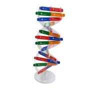 SUPVOX Kit Dna Doppia Scientifico Educativo DIY per Scuola Strumento Didattico Interattivo per Apprendimento Biologia Autoassemblaggio per Creatività e Comprensione Colore Colore Casuale