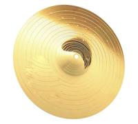 SUPVOX Piatti per Batteria Jazz in Lega Crash Cymbals Leggeri Superficie Liscia e Bordi Sicuri Strumento Percussione per Pratica e Performance Musicali