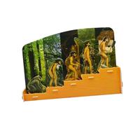 SUPVOX Puzzle Fai Da Te Modelli Di Evoluzione Umana Giocattolo Educativo Per Ragazzo Ragazza Materiale Sicuro e Resistente Supporto Didattico Per Apprendimento Scientifico