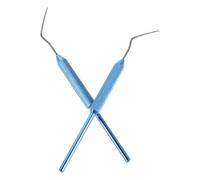 SUPVOX Strumento per Apicoltura 2 Pezzi Ago in Alluminio per Trasferimento Api con Funzione di Miglioramento Allevamento Regine e Gestione Alveari, Dimensioni 16,76x3,00x1,00 Cm