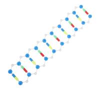 SUPVOX Struttura Dna Doppia Spirale Strumento Scientifico Didattico Molecolare Per Apprendimento Biologia Educazione