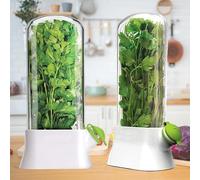 SUQ 2PCS Herb Keeper Contenitore Per Erbe Aromatiche Contenitore, 27 * 13 Cm, Salva Erbe Per Frigorifero, Custode Per Erbe Fresche Per Frigorifero Mantiene Freschi Per 2-3, Conservatore Di Sapore