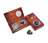 Surakey Set di ostriche con scatola di perle coltivate dacqua dolce, collana di perle, set regalo di gioielli per Natale, Capodanno, compleanno, scatola di collana + catena in acciaio inossidabile