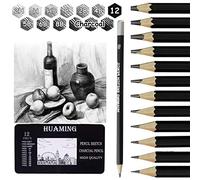 Surcotto Matite professionali per schizzi, 9 matite con 3 carboncini, gomma e temperino (2H-8B)