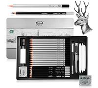 Surcotto - Set di 21 matite con 1 temperamatite, 2 gomme, 1 estensore per penna, 3 spazzole per carta, set professionale per principianti con custodia in metallo, contenuto 10B - 4H, 30 pezzi