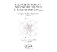Surfaces de Riemann - Equation de Halphen et groupes polyédraux - Tome 3 Groupes, algèbre et géométrie