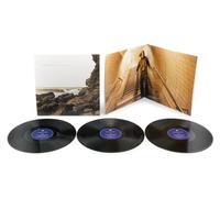 Polygon Window – Surfing On Sine Waves (Expanded Edition) – Vinile (LP)