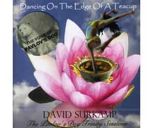Surkamp, David - Dancing On The Edge Of A Teacup