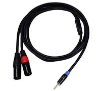 Surluoen Hi-Fi da 3,5 Mm un 2 XLR Stereo da 3,5 un XLR Placcato di Alta Qualità, da 3,5 AUX un 2Xlr, 2M