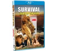 Survival: Tales of the Wild - Lions
