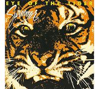 Survivor - Eye Of The Tiger