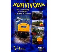 Survivors: The Continuing Adventures of 40145 & Friends