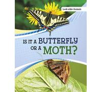 Susan B. Katz Is It a Butterfly or a Moth? (Tascabile) Look-Alike Animals