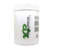 Susan Darnell WP Decolorante 500 gr
