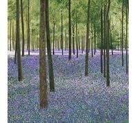 Susan Entwistle Art Bluebell Legno Biglietto d' Auguri, 15 x 15 cm, Multicolore, 6
