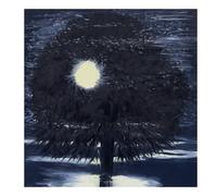 Susan Howe Ann Craven: Night (Copertina rigida)