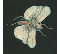 Susanna - Go Dig My Grave