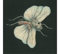 Susanna Go Dig My Grave (Vinyl LP) 12" Album