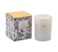 SUSANNA HOME EDG CANDELA PROFUMATA WANDERLUST POSITANO - LEMON LAVENDER