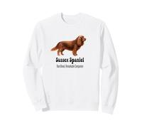 Sussex Spaniel Dog Rare Rare Compagno Notevole Felpa