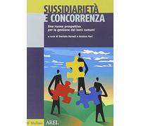 Sussidiarietà e concorrenza. Una nuova prospettiva per la gestione dei beni comuni
