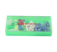 Sussidio didattico educativo sul modello del DNA, ideale per studenti e classi di biologia, materiale in PVC per la ricerca di laboratorio