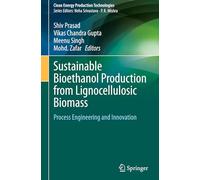 Sustainable Bioethanol Production from Lignocellulosic Biomass: Process Engineering and Innovation