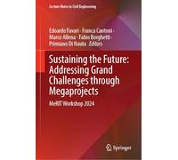 Sustaining the Future: Addressing Grand Challenges Through Megaprojects, Merit Workshop 2024: 600