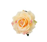 SUXUMHAO Forcine per capelli, 5 pezzi, accessorio per capelli chic e copricapo, pratica decorazione per capelli per lo styling quotidiano e occasioni casual (giallo rosa)