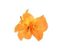 SUXUMHAO Forcine per capelli, 5 pezzi, accessorio per capelli chic e copricapo, pratica decorazione per capelli per acconciature quotidiane e occasioni casual (arancione)