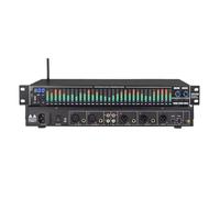 SUZLAZYR Equalizzatore Digitale EQ31SUB Sintonizzatore a 31 Bande Elaborazione Audio Professionale con riduzione del Rumore sul palco Equalizzatore Grafico Stereo con Display a LED dello Spettro
