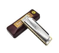 Suzuki Folkmaster 1072-c standard principiante armonica diatonica blues Gaita 10 fori chiave di C strumento musicale