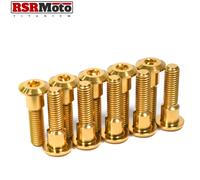 Suzuki GSXR1100 Titanio Anteriore Disco Rotore Bulloni, 1986-1998, Oro