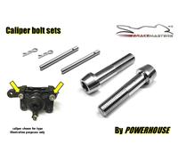 Suzuki GSXR400 Rl 1990 Pinza Freno Posteriore Giunto Bullone Pad Pins Inox GK76A
