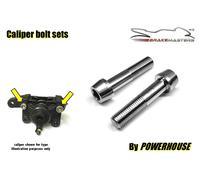 Suzuki GSXR400 Rl 1990 Pinza Freno Posteriore Giunto Mezza Bulloni Inox GK76A