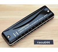 SUZUKI HA-20 HAMMOND 10 fori Diatonic Promaster Harmonic 14 chiavi