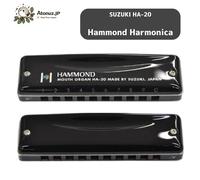 Suzuki HA-20 Hammond Promaster Harmonica 10 fori chiave diatonica C A G D...