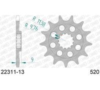 Pignone Afam Acciaio Standard 22311-Passo 520 Per Moto Ricambi Accessori Parti