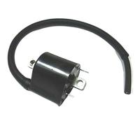 Suzuki SV 1000 U2 2005 Bobina A T