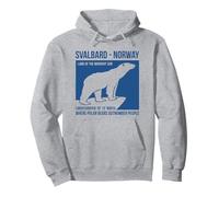 Svalbard Norway Polar Bears Longyearbyen Spitsbergen Aurora Felpa con Cappuccio