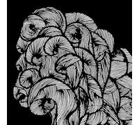 Svalbard - One Day All This Will End