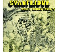 Svanfridur - What's Hidden There?