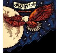 Svartanatt - Starry Eagle Eye
