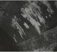 Svarte Greiner - Devolving Trust