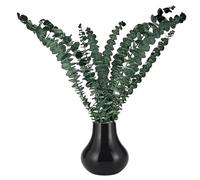 SVCEQZE Eucalipto Secco Per Doccia, Gambi di Eucalipto per la Doccia 10 Pezzi, Decorazione Floreale per Casa Spa Negozi di Fiori e Soggiorno