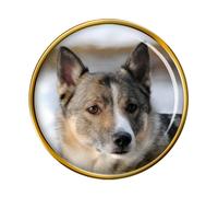Svedese Vallhund Cane Distintivo di Lapel Pin