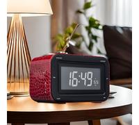 Sveglia Bambini Radio Viaggi Campeggio Digitale Nobile Cassa Bigben RR 30 L