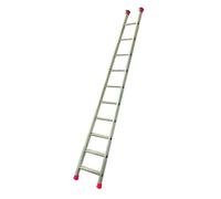 Svelt Scala Agricola D'Appoggio Professionale 10 Gradini