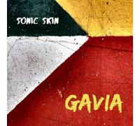 Sven Berggren; Hakan Goohde; Johannes Backstrom; Henrik Jaderberg; Adam Forkelid; Alberto Pinton - Sonic Skin - Gavia