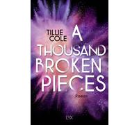 Svenja Tengs Till A Thousand Broken Pieces (A Thousand Boy Kisses, (Tascabile)